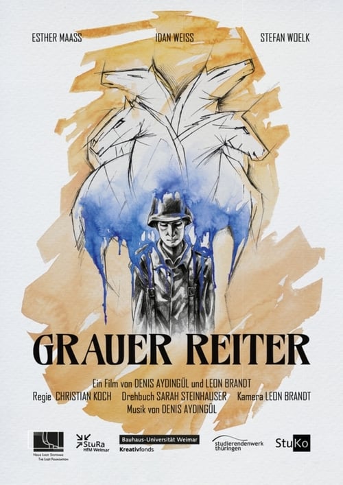 Grauer Reiter