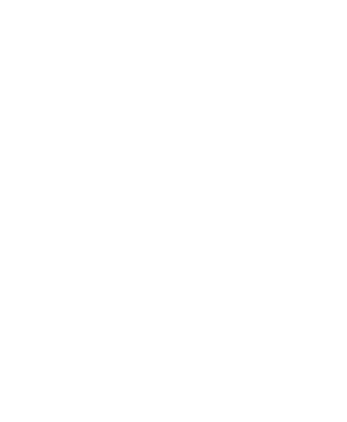 Aardman Academy