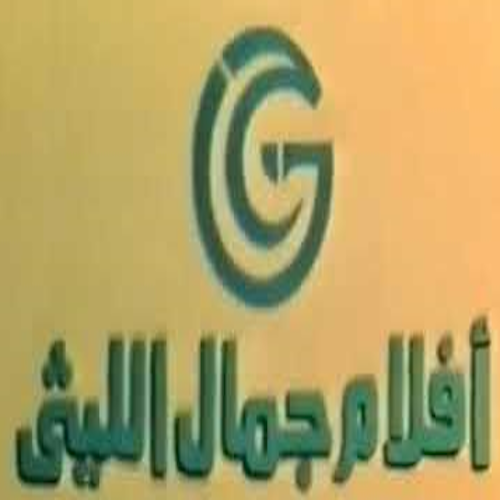 Gamal el Leithy Films