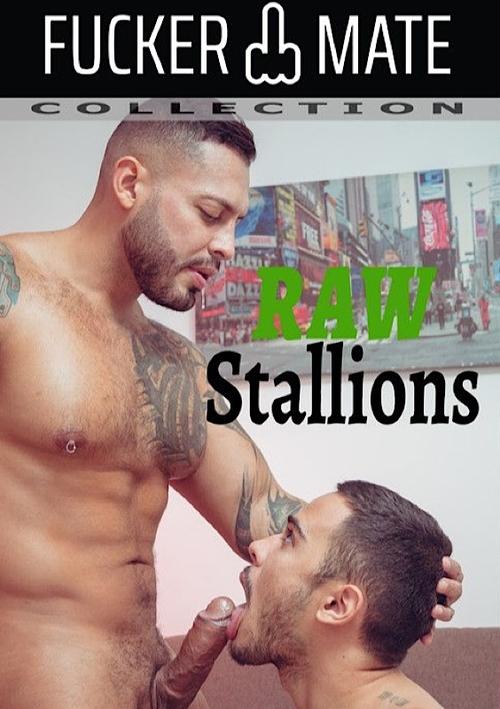 Raw Stallions