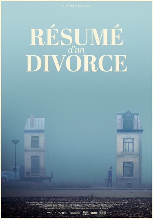 Manual for a Divorce