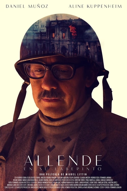 Allende in His Maze