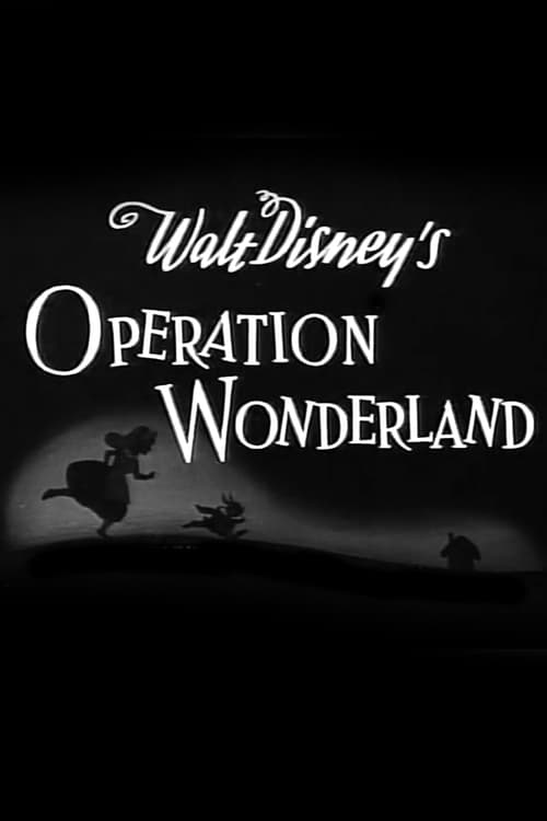 Operation Wonderland