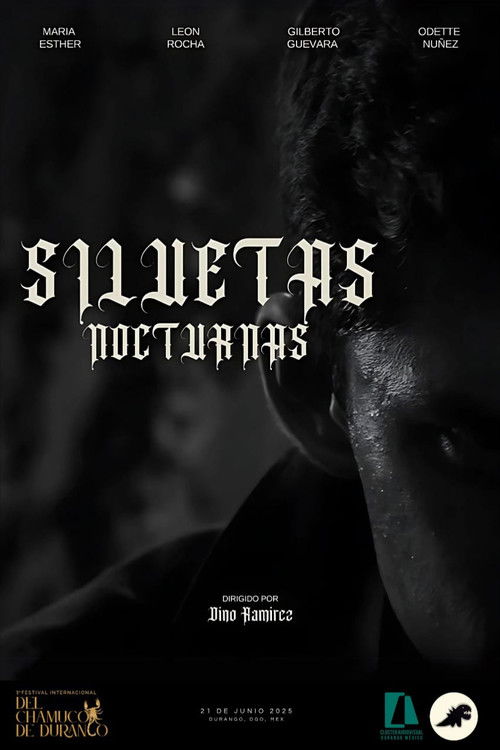 SILUETAS NOCTURNAS