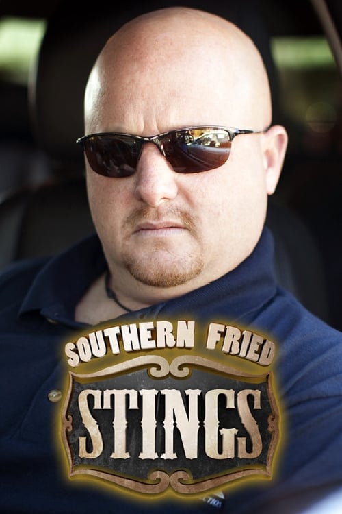 Southern Fried Stings