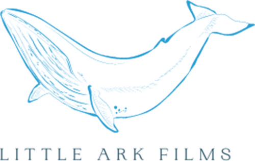 Little Ark Films