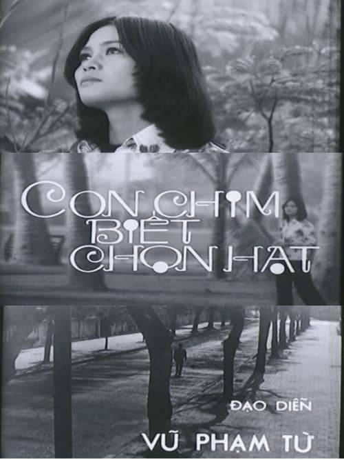 Con Chim Biết Chọn Hạt