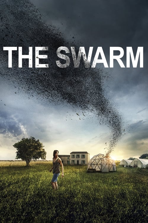 The Swarm