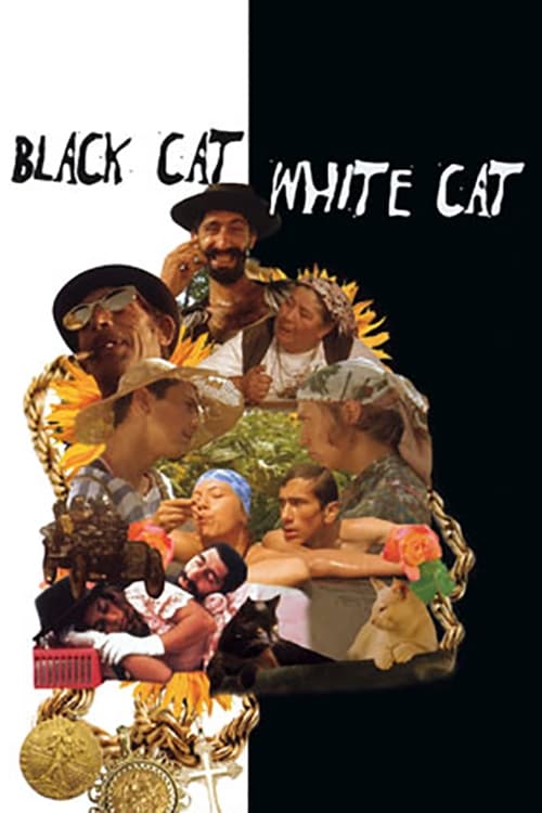 Black Cat, White Cat