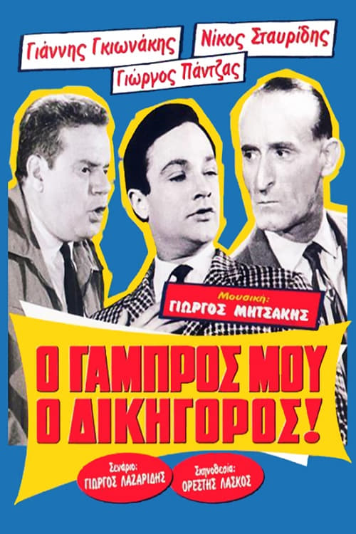 Ο Γαμπρός Μου, Ο Δικηγόρος!