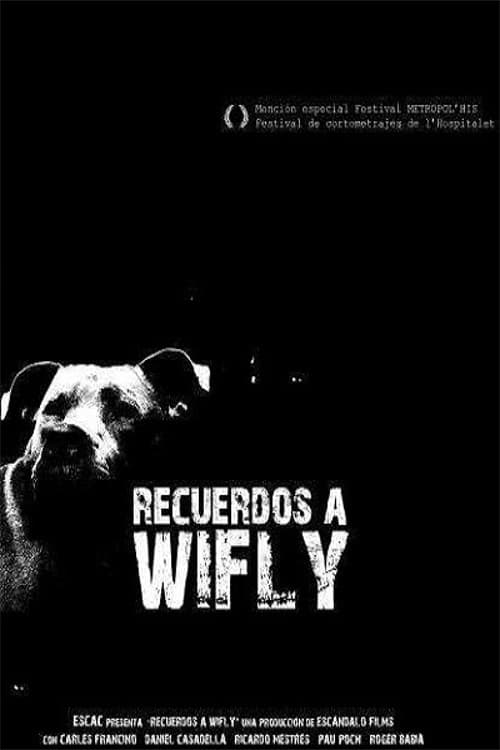 Recuerdos a Wifly