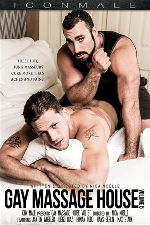 Gay Massage House 5