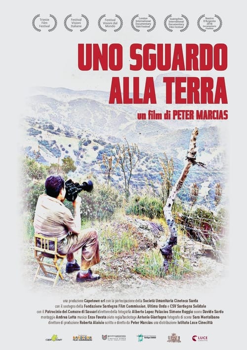 Uno sguardo alla Terra