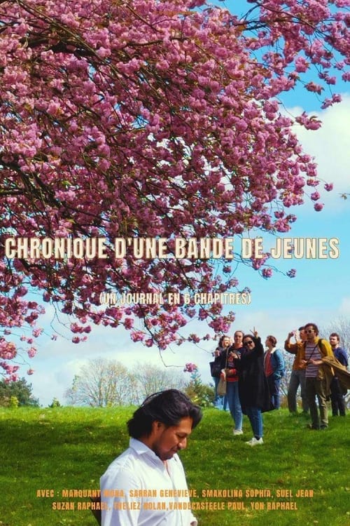 Chronique d'une bande de jeunes (un journal en 6 chapitres)