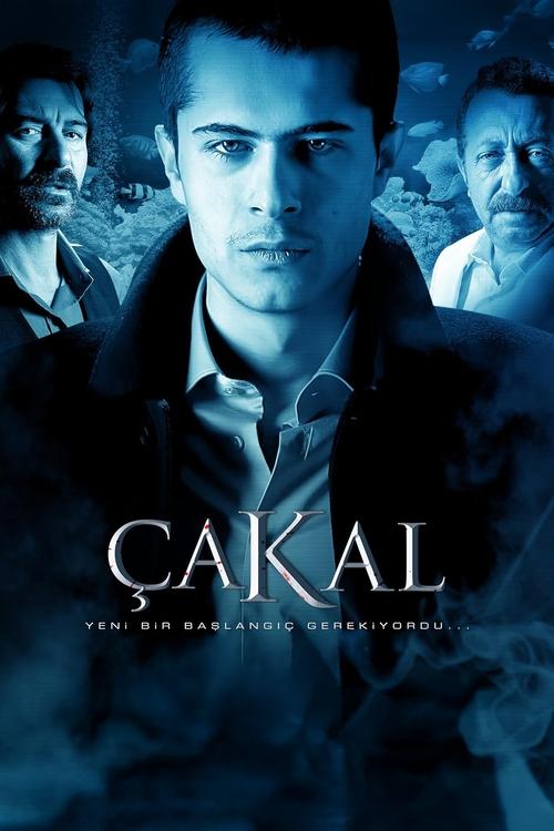 Çakal