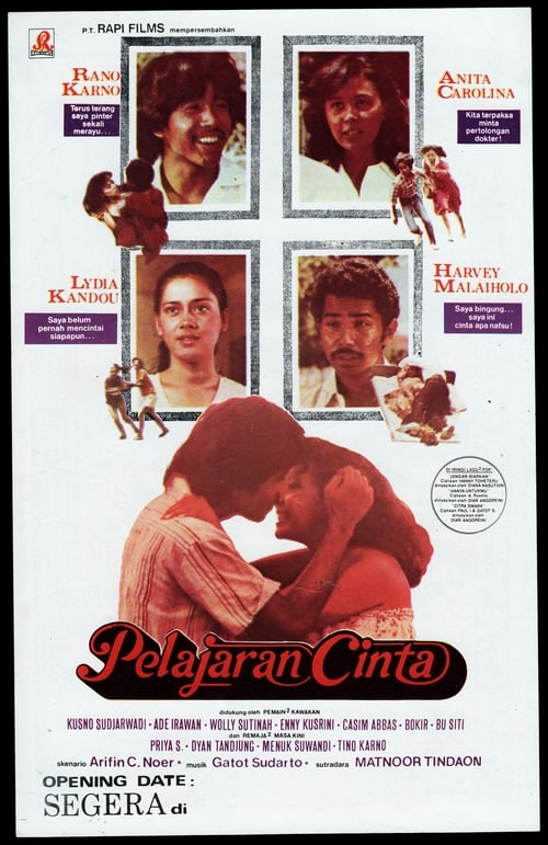 Pelajaran Cinta