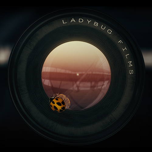 Ladybug Films