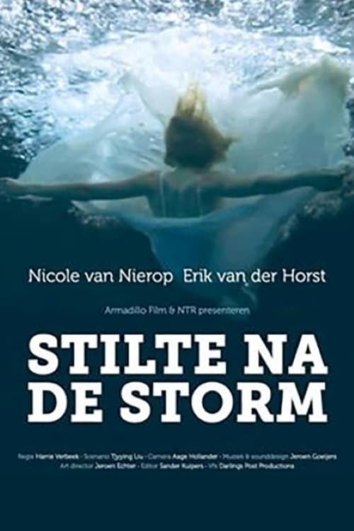 Stilte na de storm