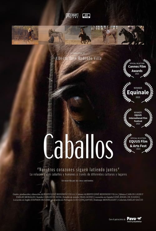 Caballos