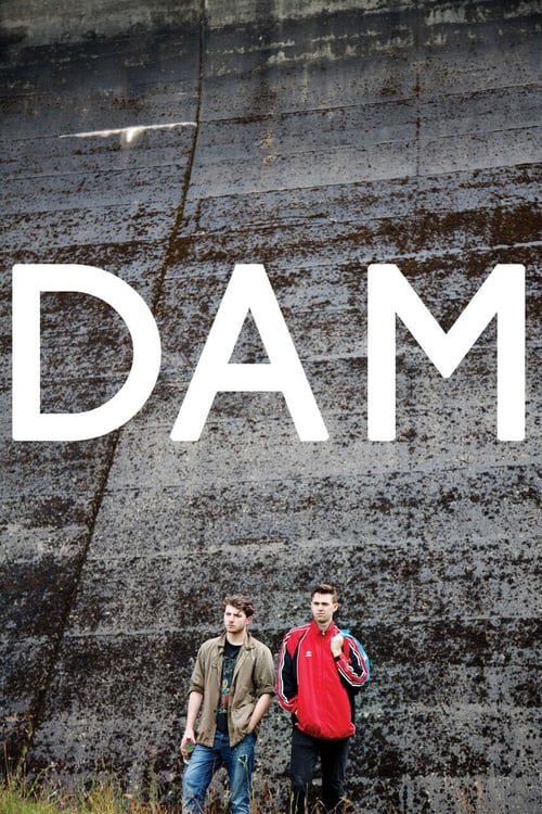 Dam