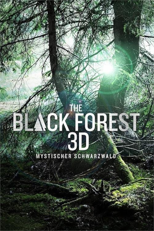 The Black Forest - Mystischer Schwarzwald