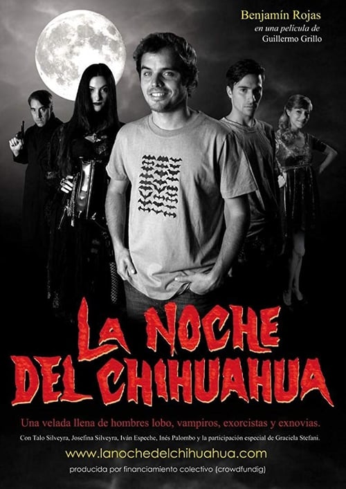 The Night of the Chihuaua