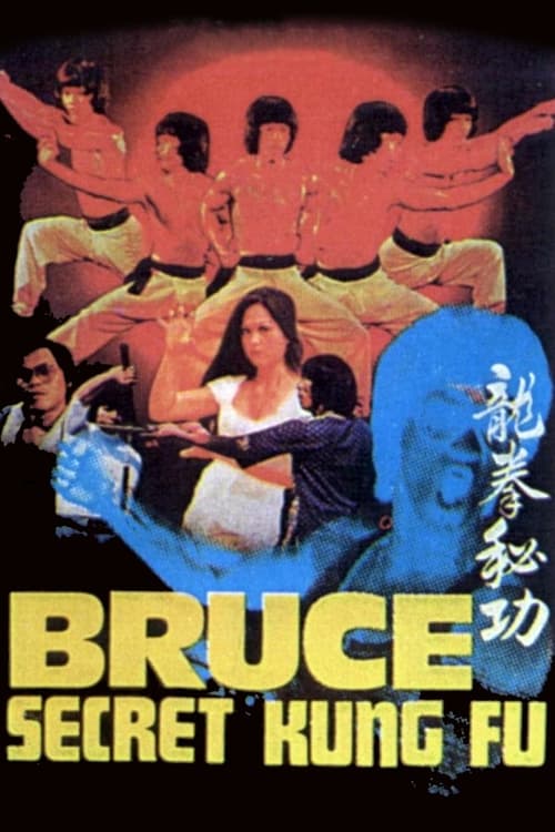 Bruce's Secret Kung Fu