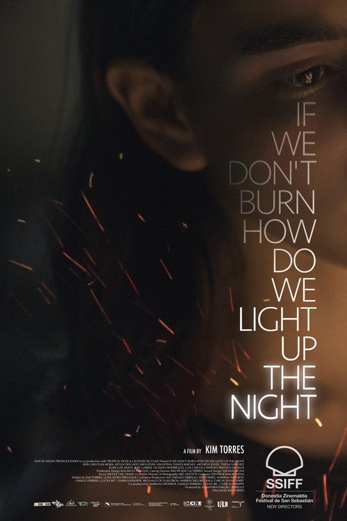 If We Don't Burn, How Do We Light Up The Night