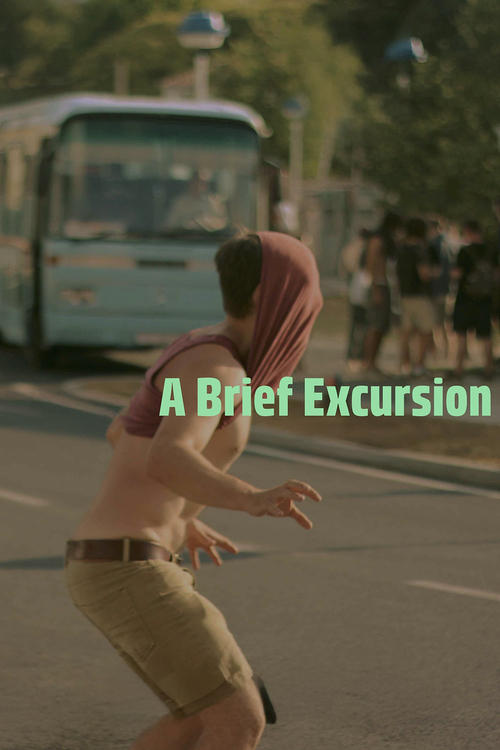 A Brief Excursion