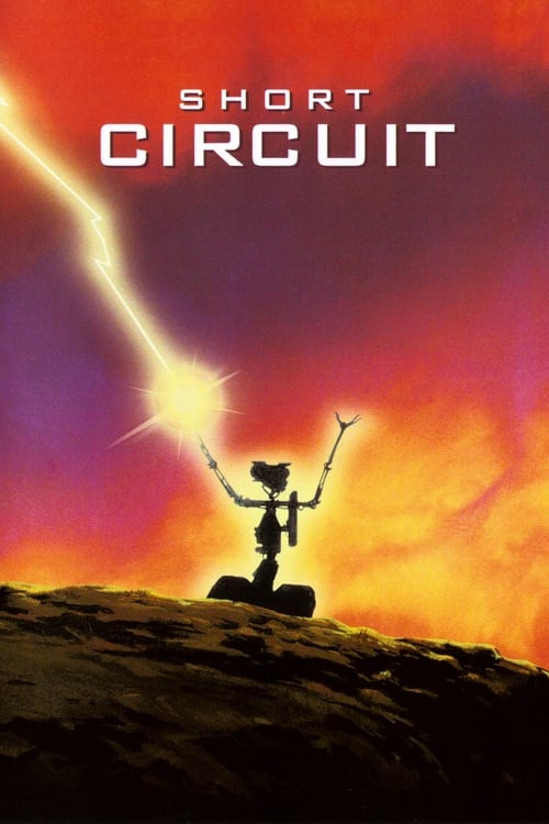 Short Circuit