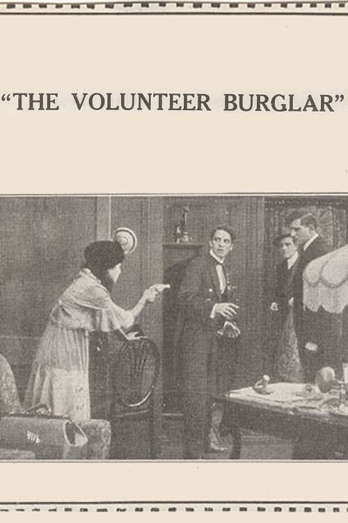 The Volunteer Burglar