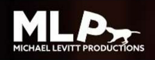 Michael Levitt Productions