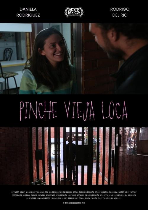 Pinche Vieja Loca