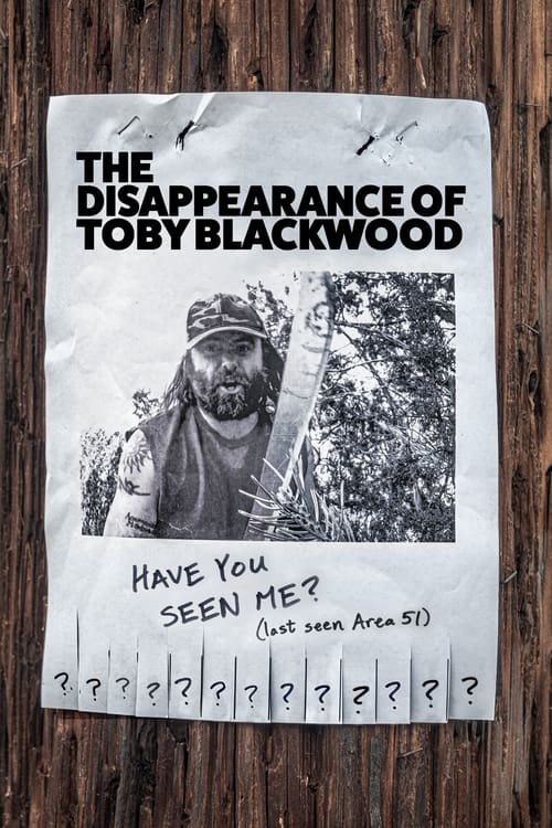 The Disappearance of Toby Blackwood