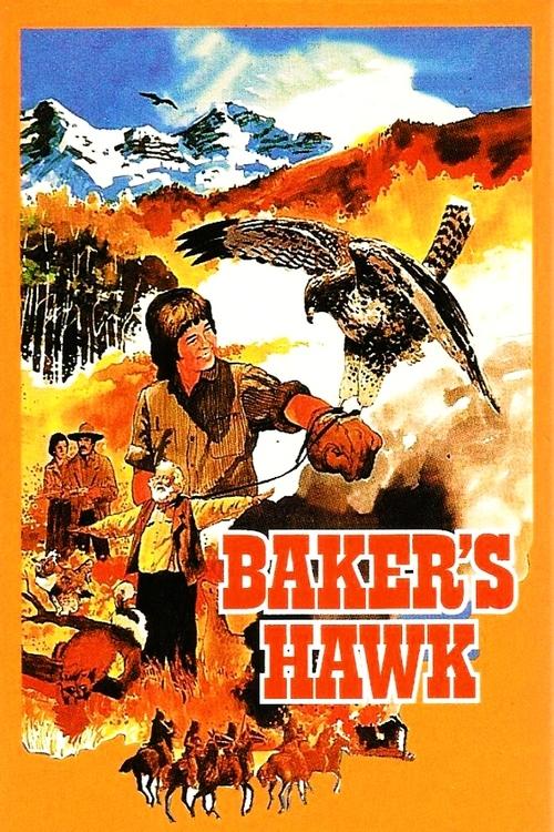 Baker's Hawk