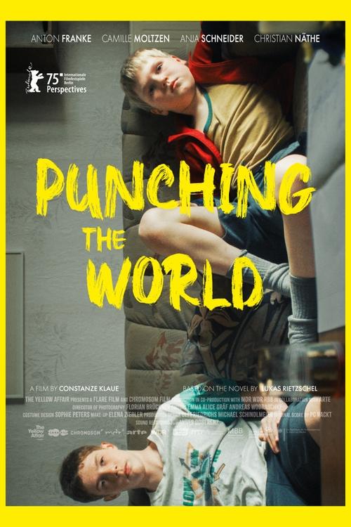 Punching the World