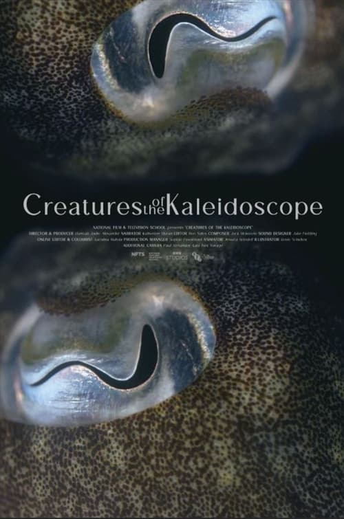 Creatures of the Kaleidoscope