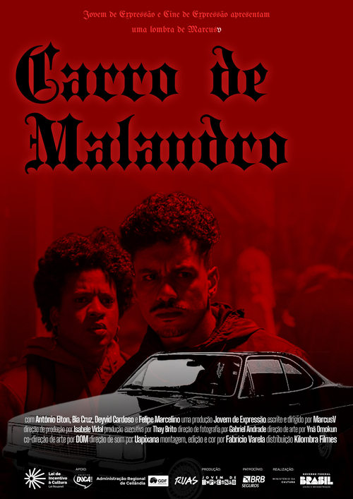 Carro de Malandro