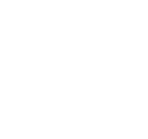 ICS Nordic