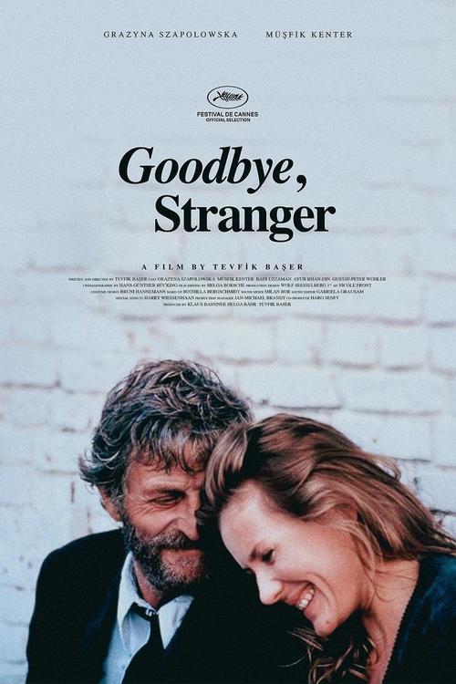 Goodbye Stranger