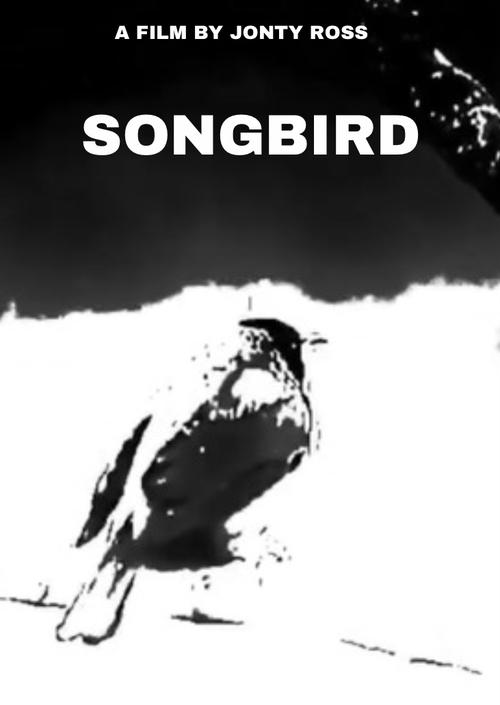 Songbird