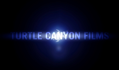 Turtle Canyon Films