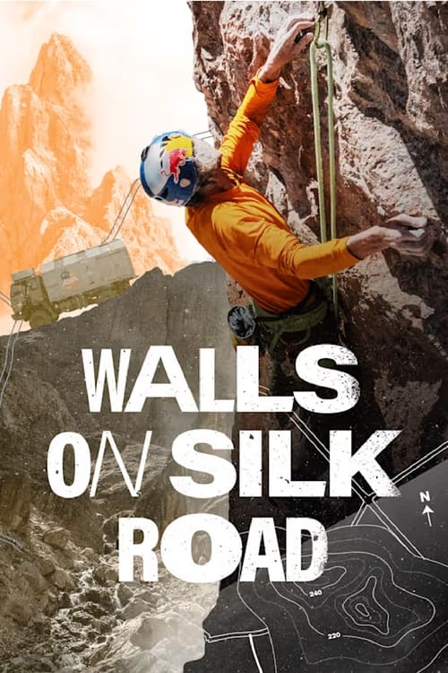 Walls on Silk Road