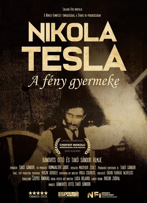 Nikola before Tesla