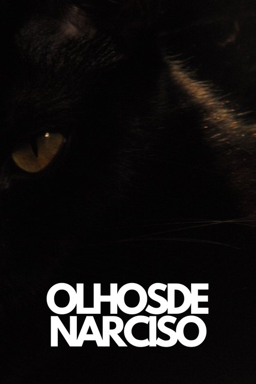 Olhos de Narciso
