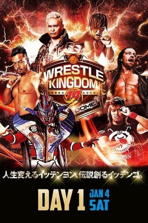 NJPW Wrestle Kingdom 14: Night 1