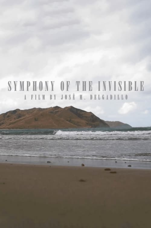 Symphony Of The Invisible