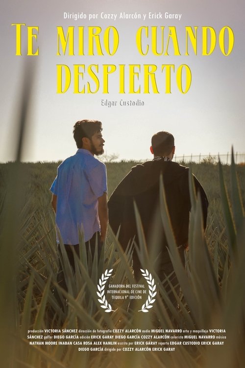 I see you when I wake up