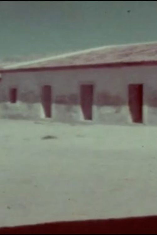 A Flor do Lácio é vadia