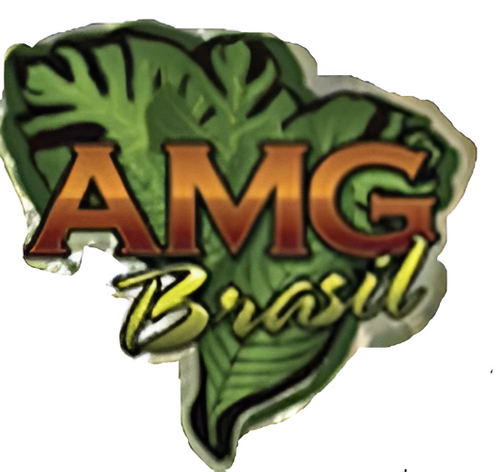 AMG Brasil